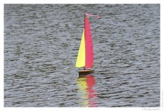IMG_20060618_110911