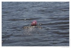IMG_20060702_105912