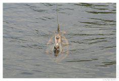 IMG_20060812_143949