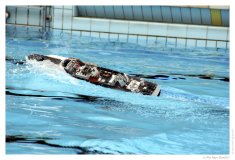 IMG_20060917_131206