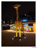 Scheveningen 2025