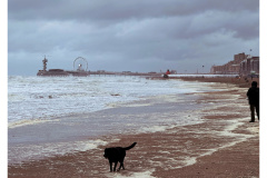 Scheveningen 2026