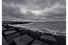 Scheveningen 2026