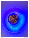 Gummibärchen