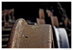 IMG_20110323_123925