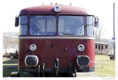 IMG_20110323_123959