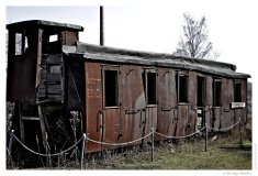 IMG_20110323_124116