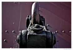 IMG_20110323_124219
