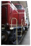 IMG_20110323_124452