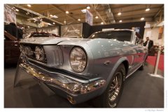 IMG_20091201_120010