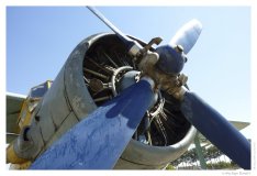 IMG_20100918_120703