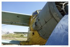 IMG_20100918_120710