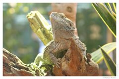 IMG_20090130_111639