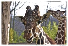IMG_20110312_093320