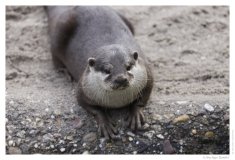 IMG_20110312_095001