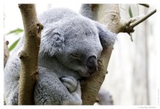 IMG_20110312_102555