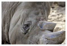 IMG_20110312_104425