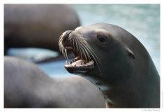 IMG_20110312_110338