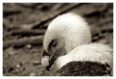 IMG_20110312_122904