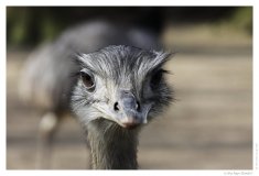 IMG_20110312_124746