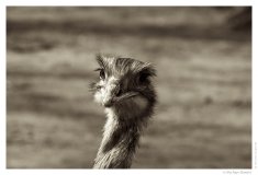 IMG_20110312_124909
