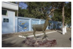 IMG_20101020_092002