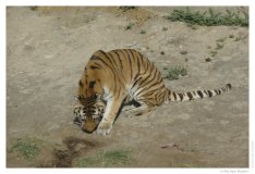 IMG_20101020_093531