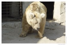 IMG_20101020_094811