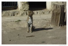 IMG_20101020_095323