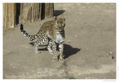IMG_20101020_095336