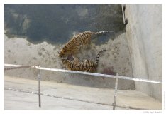 IMG_20101020_095644