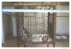 IMG_20101020_101355