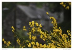 Impressionen