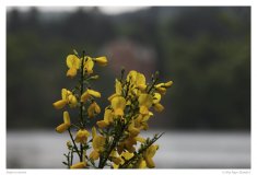 Impressionen