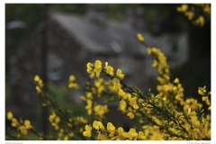 Impressionen