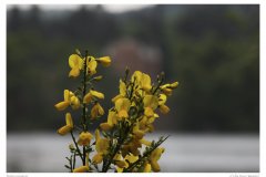 Impressionen