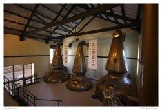Auchentoshan