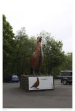 Grouse