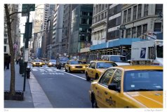 Taxi