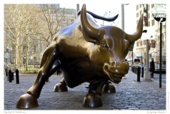 Big Bull @ Wallstreet