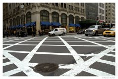IMG_20080129_093956