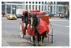Transports