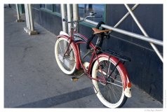 IMG_20080130_120930