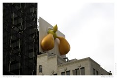 Tweety meets Times Square