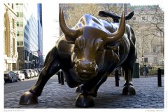 Big Bull @Wallstreet
