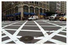 IMG_20080129_093956