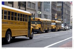 School Bus