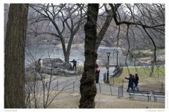 Central Park Central Park