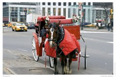 Transports