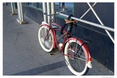 IMG_20080130_120930